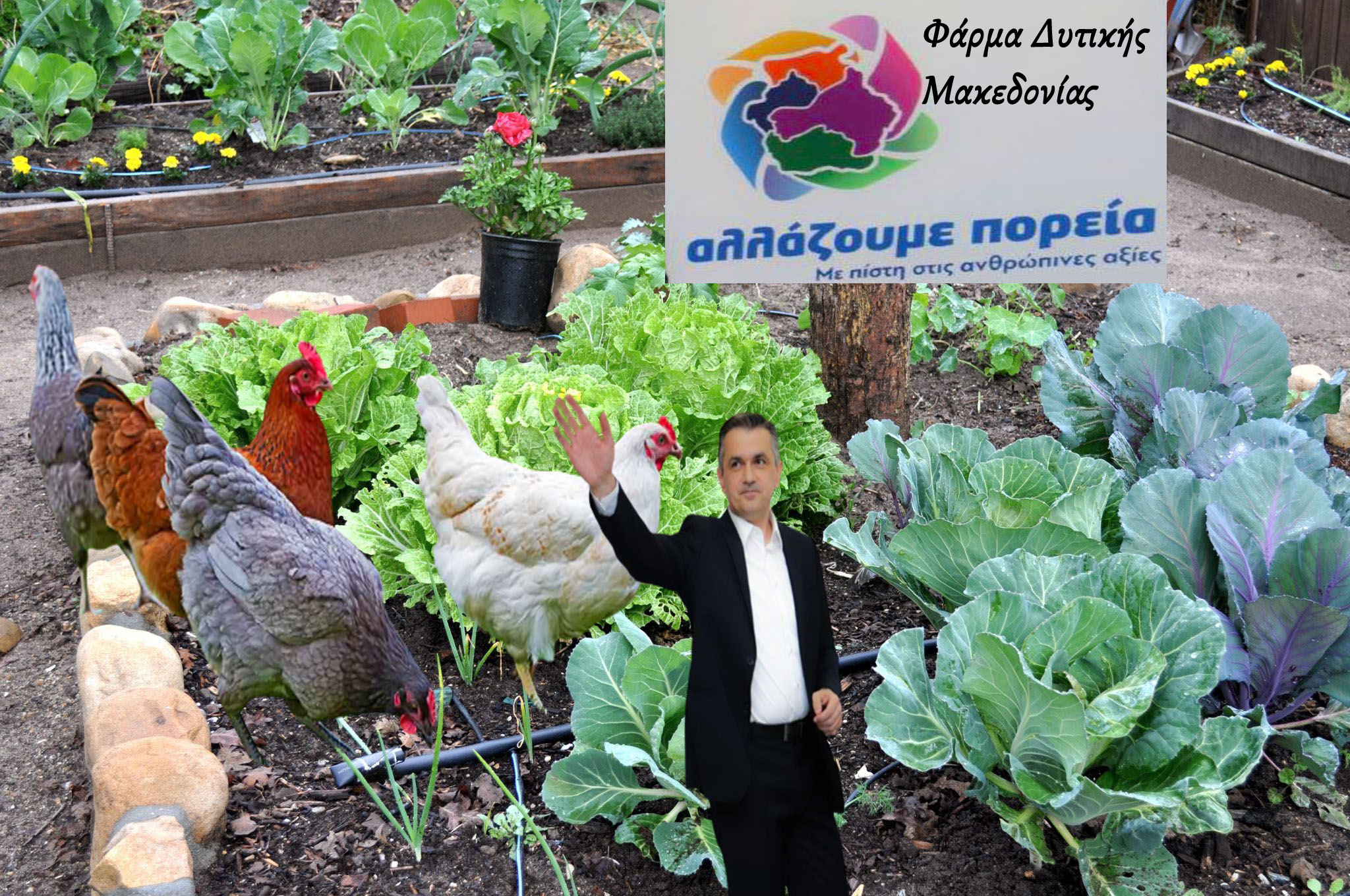 Κασαπίδης κυκλική οικονομία: Λαχανόκηποι οικογενειακοί μαζί με κοτούλες αλανιάρες τσακιρομάτες